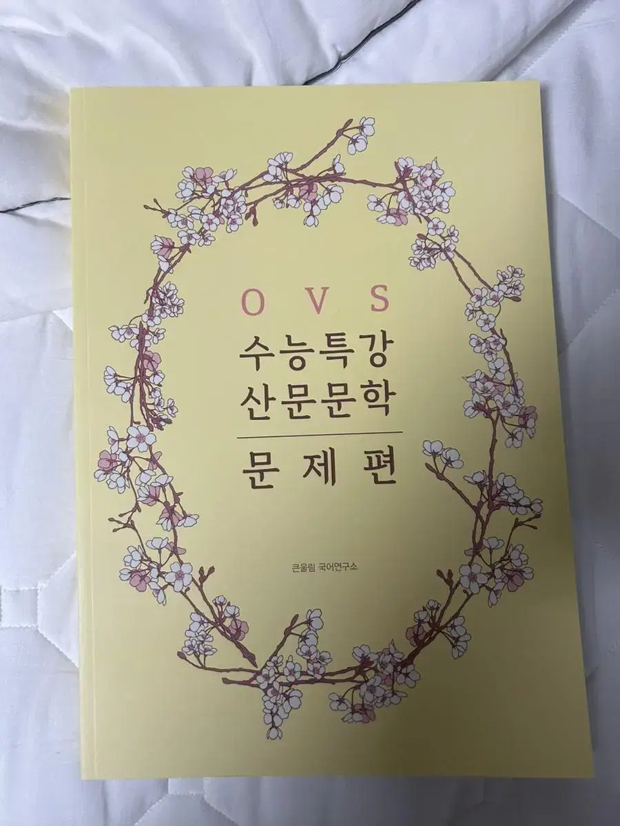 ovs 산문문학 문제편